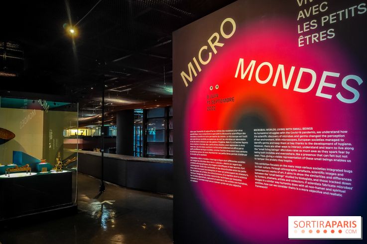 Micro mondes, une exposition à découvrir à la loupe au musée du Quai Branly, nos photos