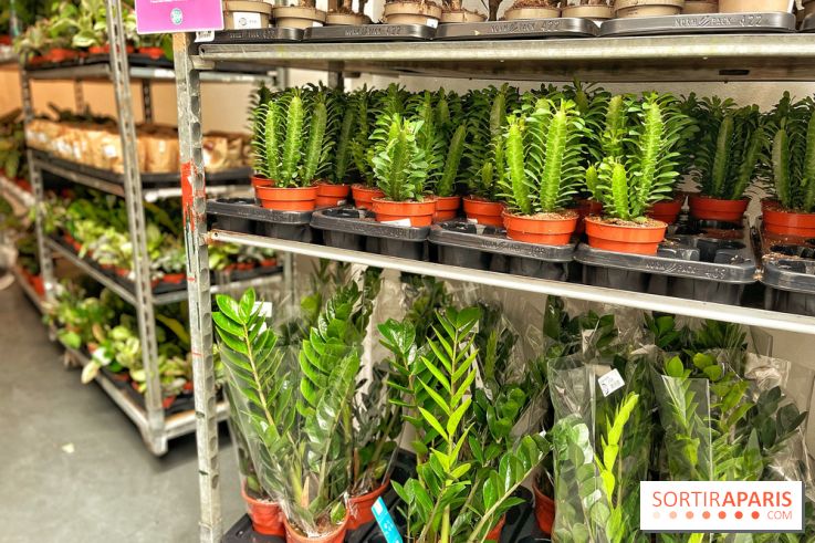 Plantes pour Tous, les prochaines ventes de plantes à partir de 2€ à Paris