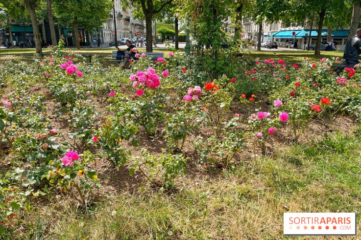 Balade sur la Petite Ceinture du 17e : la promenade Pereire