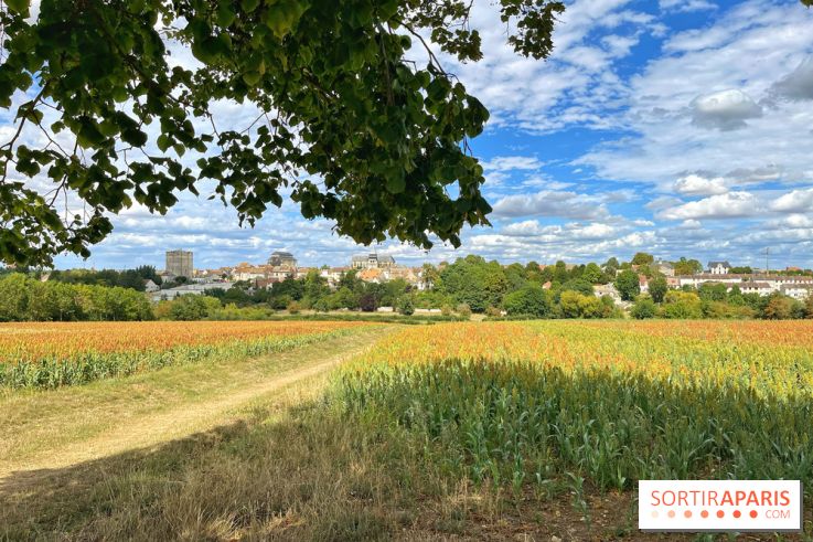 Houdan, ville médiévale et balade historique dans les Yvelines