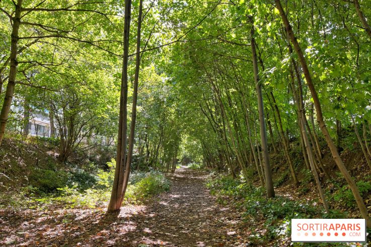 Balade sur la Petite Ceinture du 14 au 16e arrondissement : un sentier nature dépaysant