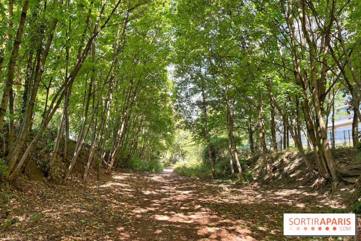 Balade sur la Petite Ceinture du 14 au 16e arrondissement : un sentier nature dépaysant