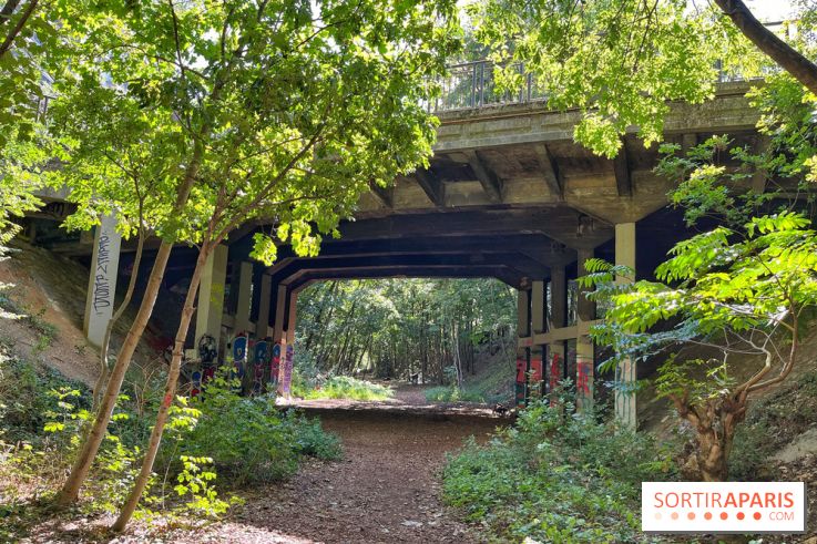 Balade sur la Petite Ceinture du 14 au 16e arrondissement : un sentier nature dépaysant