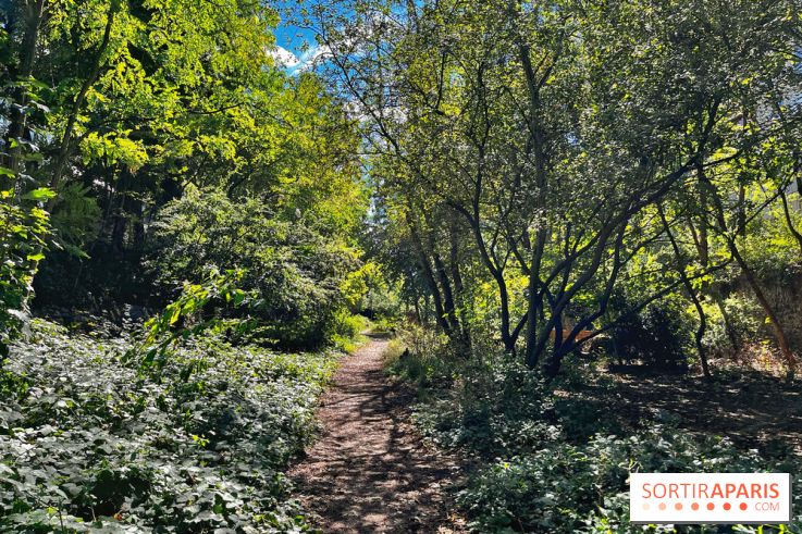 Balade sur la Petite Ceinture du 14 au 16e arrondissement : un sentier nature dépaysant