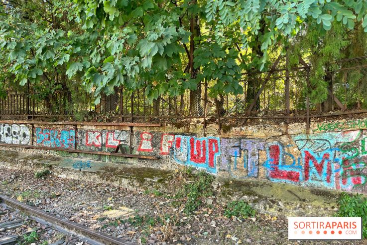 Balade sur la Petite Ceinture du 14 au 16e arrondissement : un sentier nature dépaysant