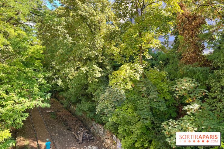 Balade sur la Petite Ceinture du 14 au 16e arrondissement : un sentier nature dépaysant