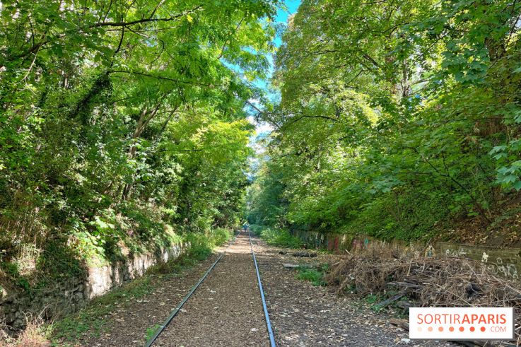 Balade sur la Petite Ceinture du 14 au 16e arrondissement : un sentier nature dépaysant