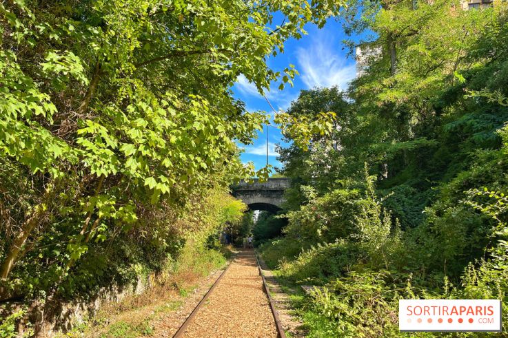 Balade sur la Petite Ceinture du 14 au 16e arrondissement : un sentier nature dépaysant