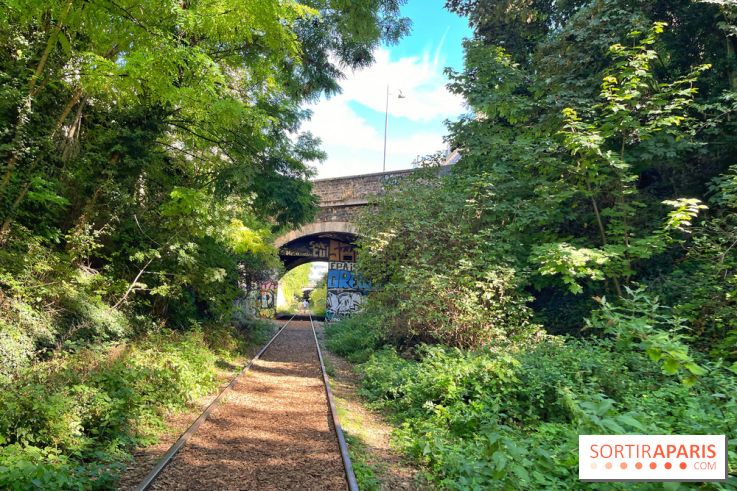 Balade sur la Petite Ceinture du 14 au 16e arrondissement : un sentier nature dépaysant