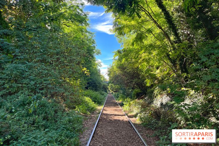 Balade sur la Petite Ceinture du 14 au 16e arrondissement : un sentier nature dépaysant