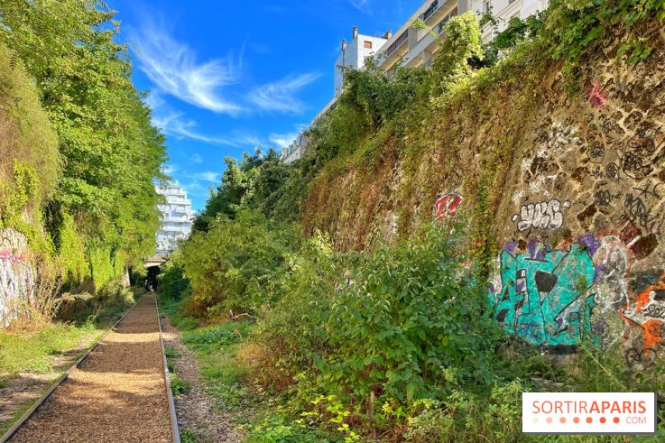 Balade sur la Petite Ceinture du 14 au 16e arrondissement : un sentier nature dépaysant