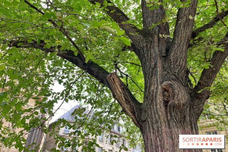 6 anecdotes ésotériques et mystérieuses autour de monuments parisiens