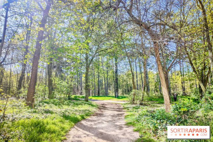 Visuels Paris - forêt bois de Boulogne nature soleil printemps