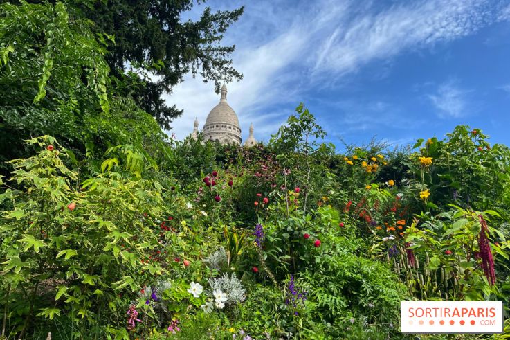 Visuels Paris - montmartre sacré cœur