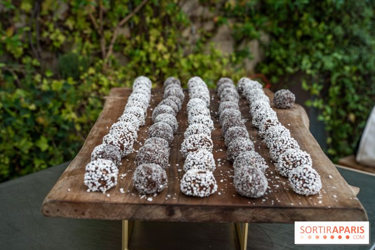 Les appartements de l’Institut Suédois 