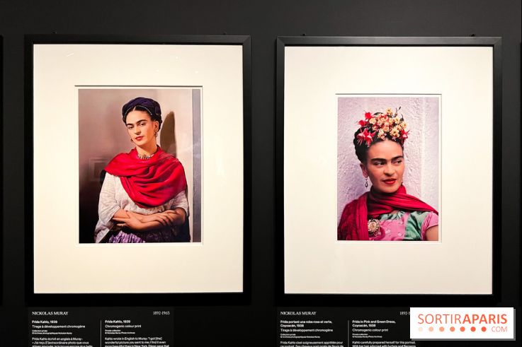 Exposition Frida Kahlo