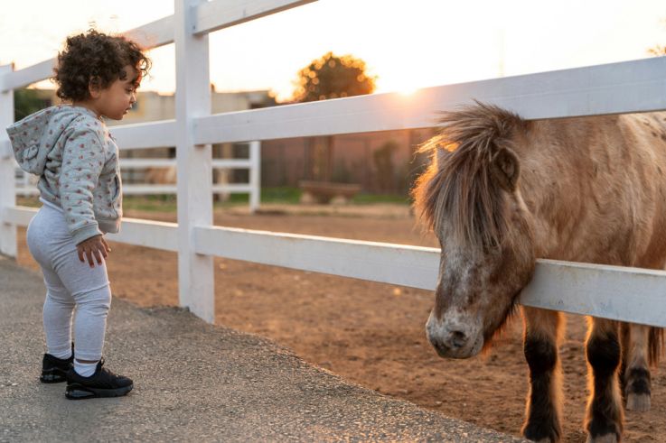 Des balades à dos de poney dans la Vallée de Chevreuse, à la ferme du Vieux Moulin (91)
