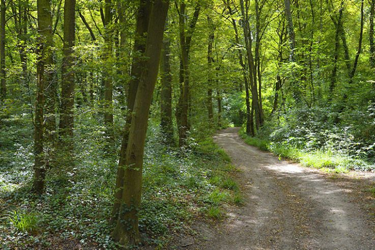 Parc de la Fosse Maussoin