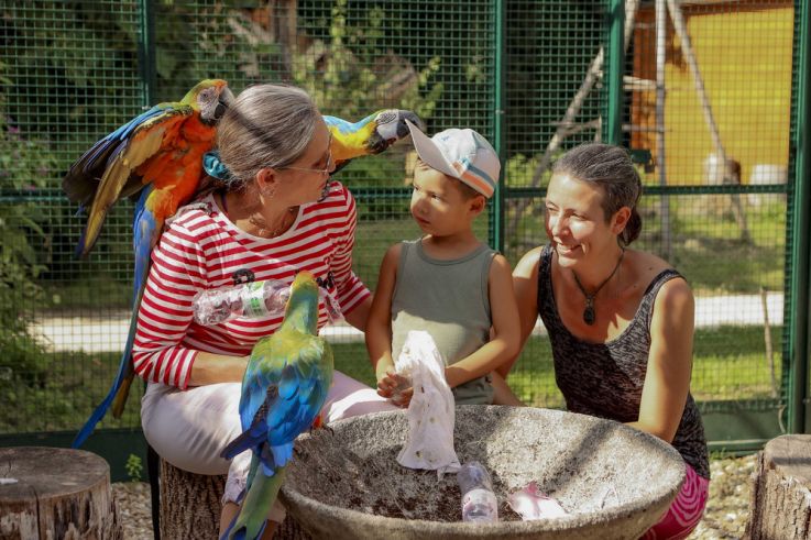 Devenez soigneur le temps d'une journée à la Plume de Vallombreuse (77)
