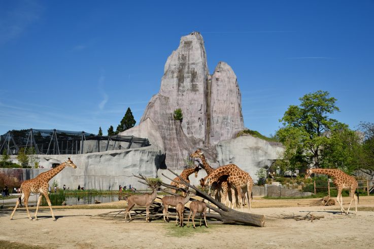 Le Parc zoologique de Paris - Zoo de Vincennes 
