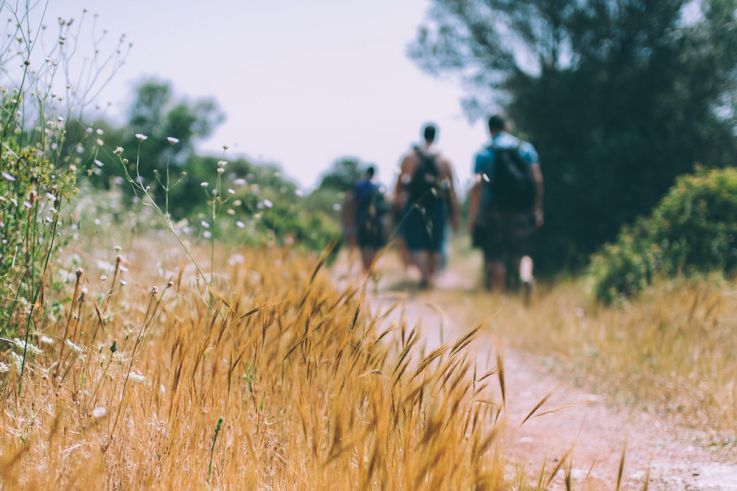 Les Echappées Vertes