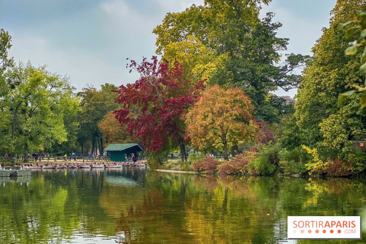 Bois de Vincennes automne