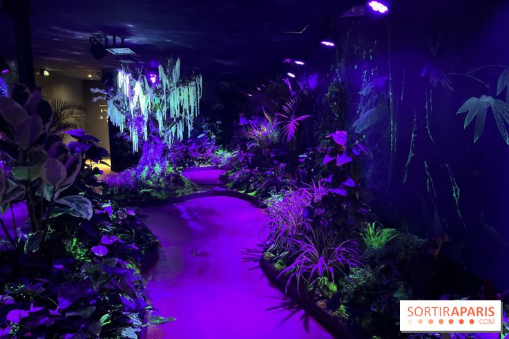 Forêt Bioluminescente - Serre Papillons