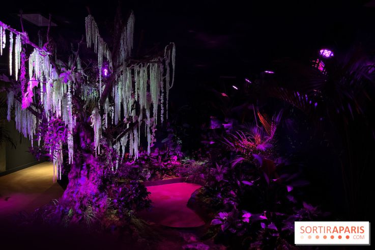 Forêt Bioluminescente - Serre Papillons