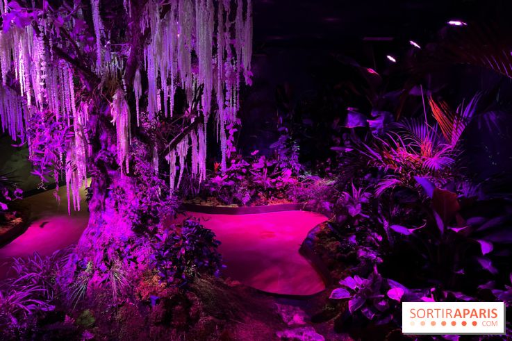 Forêt Bioluminescente - Serre Papillons