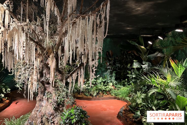 Serre Papillons - La Queue-lez-Yvelines