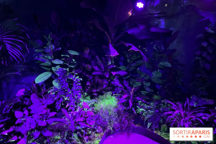 Forêt Bioluminescente - Serre Papillons