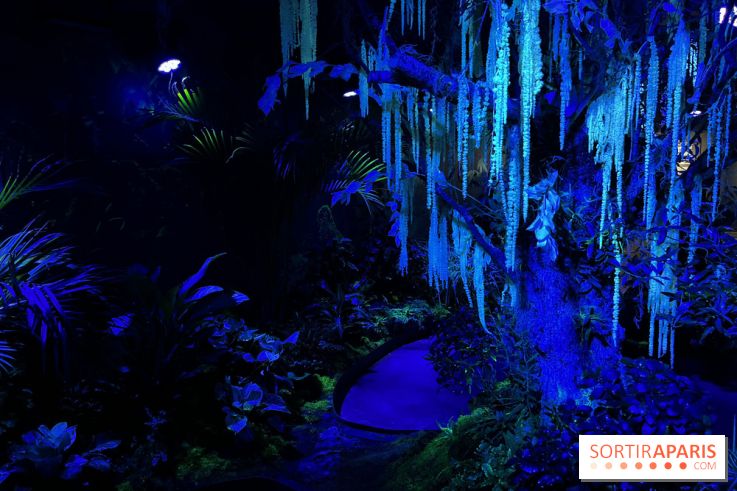 Forêt Bioluminescente - Serre Papillons