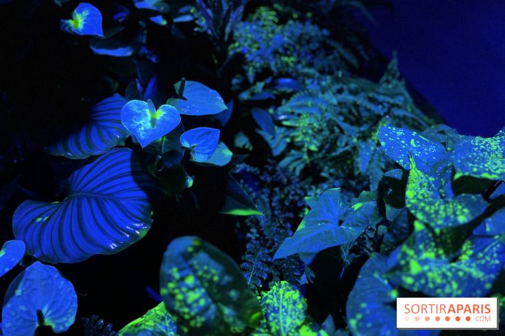 Forêt Bioluminescente - Serre Papillons