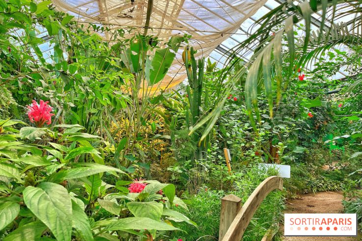 Serre Papillons - La Queue-lez-Yvelines