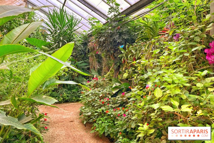 Serre Papillons - La Queue-lez-Yvelines