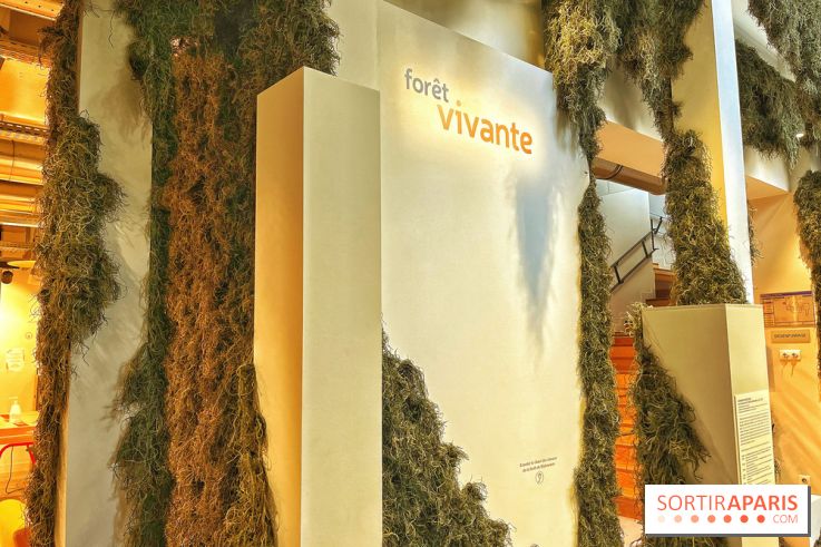 Le Chant des Forêts, l'exposition sensible et gratuite du Maif Social Club