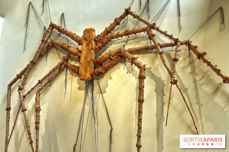 Le Chant des Forêts, l'exposition sensible et gratuite du Maif Social Club