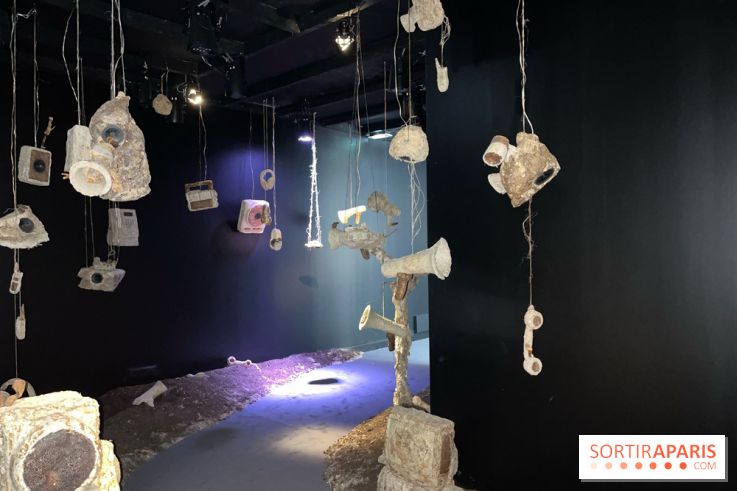 Le Chant des Forêts, l'exposition sensible et gratuite du Maif Social Club