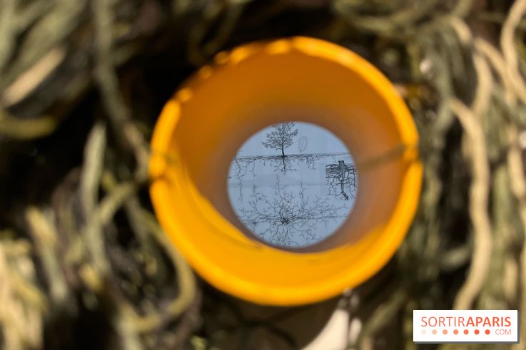 Le Chant des Forêts, l'exposition sensible et gratuite du Maif Social Club