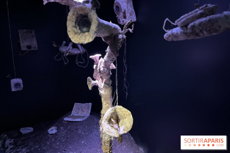 Le Chant des Forêts, l'exposition sensible et gratuite du Maif Social Club