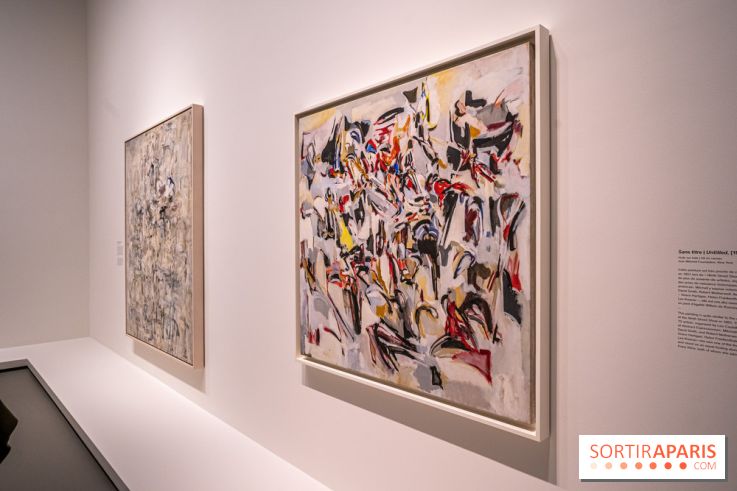 Exposition Monet - Mitchell Fondation Vuitton - Joan Mitchell  -  impressionnisme abstrait