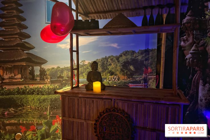 Spa Luxury Paris, un moment de détente immersif dans des décors de rêve