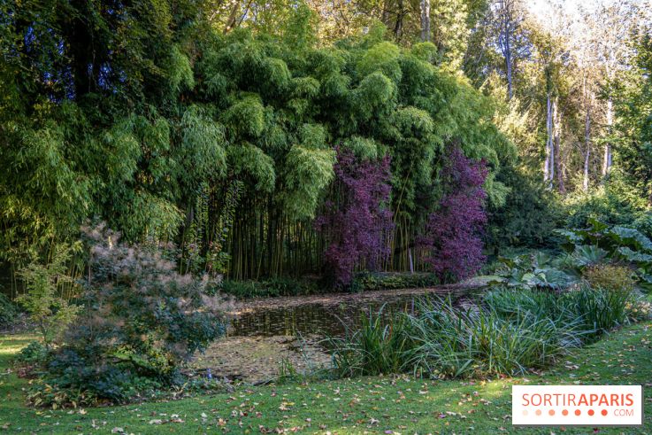 Le Jardin japonais du Château de Courances