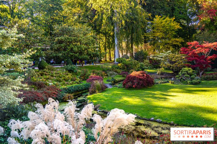 Le Jardin japonais du Château de Courances