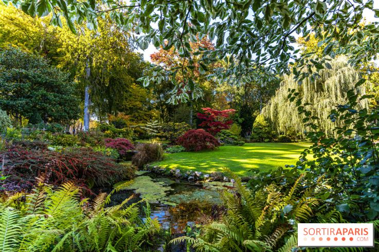 Le Jardin japonais du Château de Courances