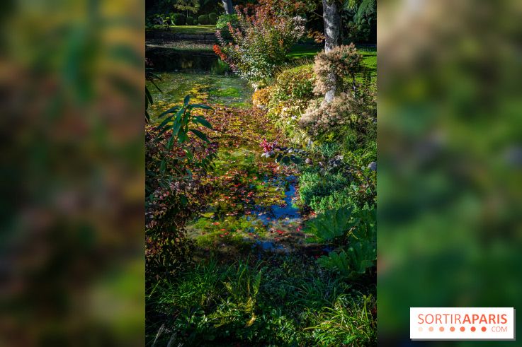 Le Jardin japonais du Château de Courances