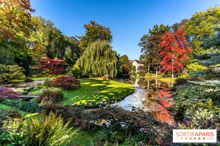 Le Jardin japonais du Château de Courances