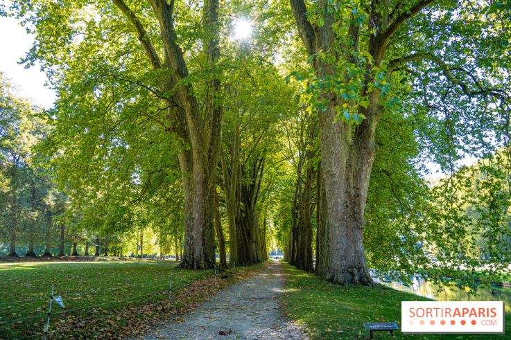 Parc et Domaine du Château de Courances