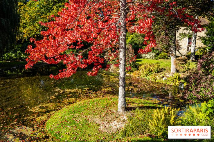Parc et Domaine du Château de Courances