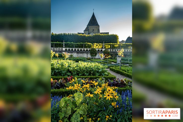Le Château de Villandry et ses jardins